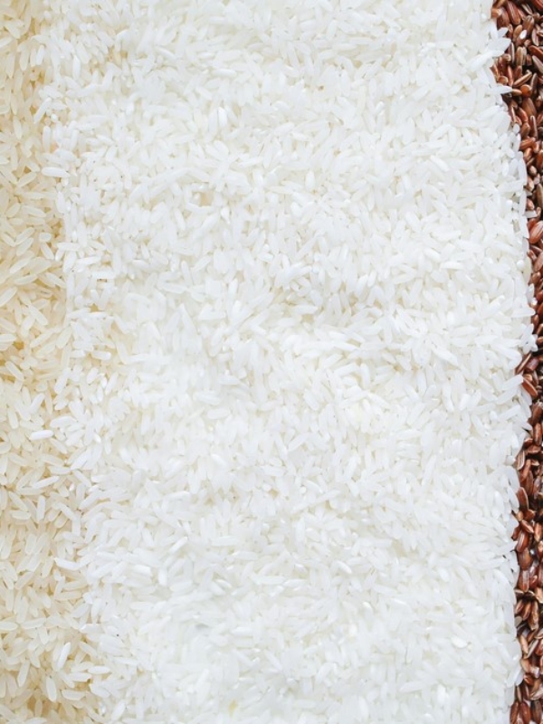 Les riz cultivés en France : un trésor discret qui mijote sous le soleil de Camargue