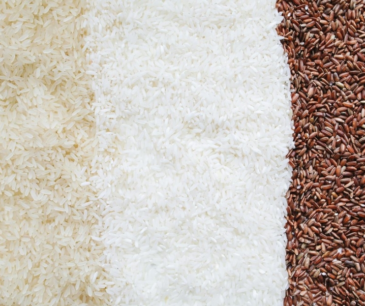 Les riz cultivés en France : un trésor discret qui mijote sous le soleil de Camargue